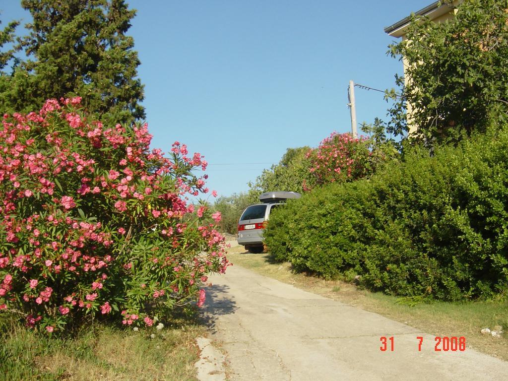 Apartments Prahovic Ždrelac Exteriér fotografie
